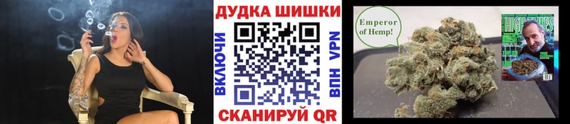 Конопля Amnesia  Купить  Мезень 